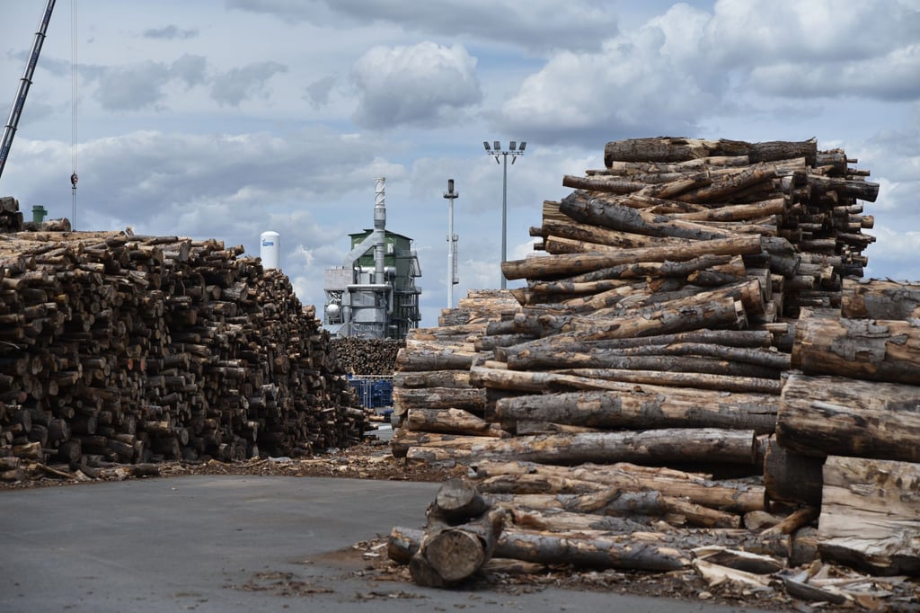 Statt aus Erdöl will das finnische Unternehmen UPM in Leuna Chemikalien aus Holz herstellen. (Archivbild)