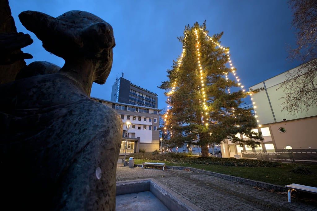 Die Lichterketten sind inzwischen zu klein für den Baum.