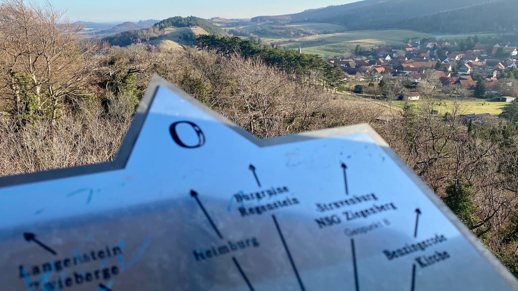 Diese Aussicht können Harz-Wanderer bei Wernigerode nun wieder genießen.