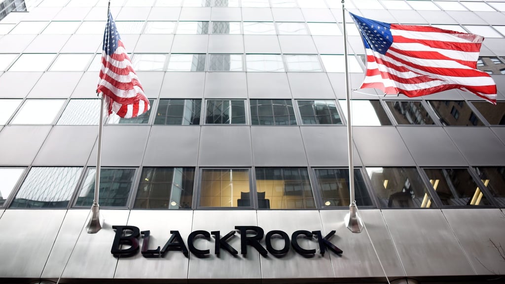 Größter Vermögensverwalter der Welt: das US-Unternehmen Blackrock (Archiv)