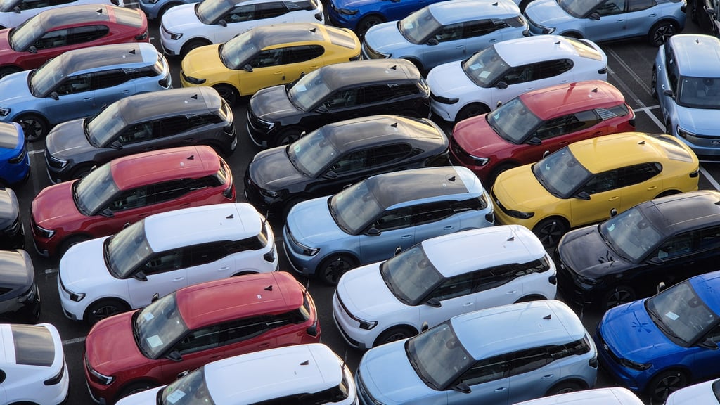 Das Privatgeschäft mit  E-Autos bleibt schwach.