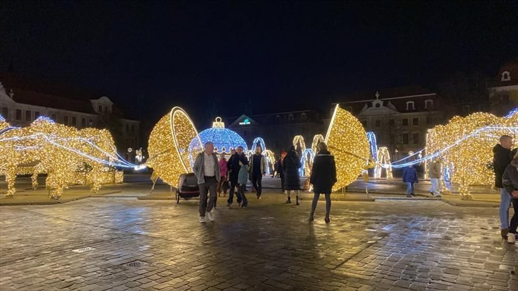 Die Lichterwelt auf dem Domplatz ist gut besucht.