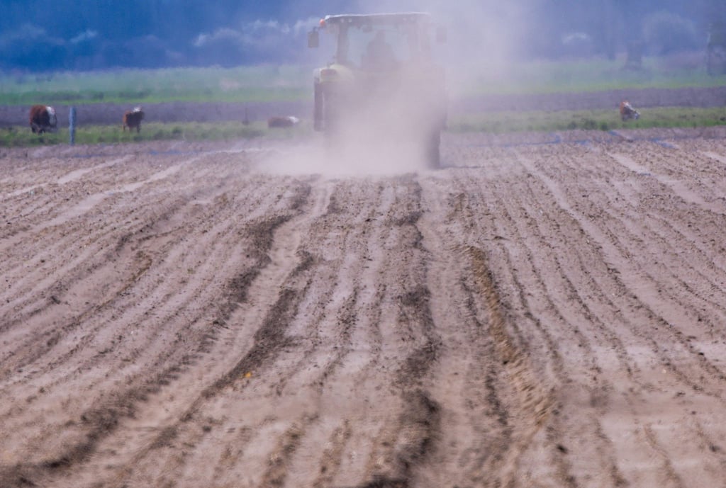 Thüringer Landwirte haben in diesem Jahr mehr als 217 Millionen Euro an EU-Zahlungen erhalten. (Archivbild)