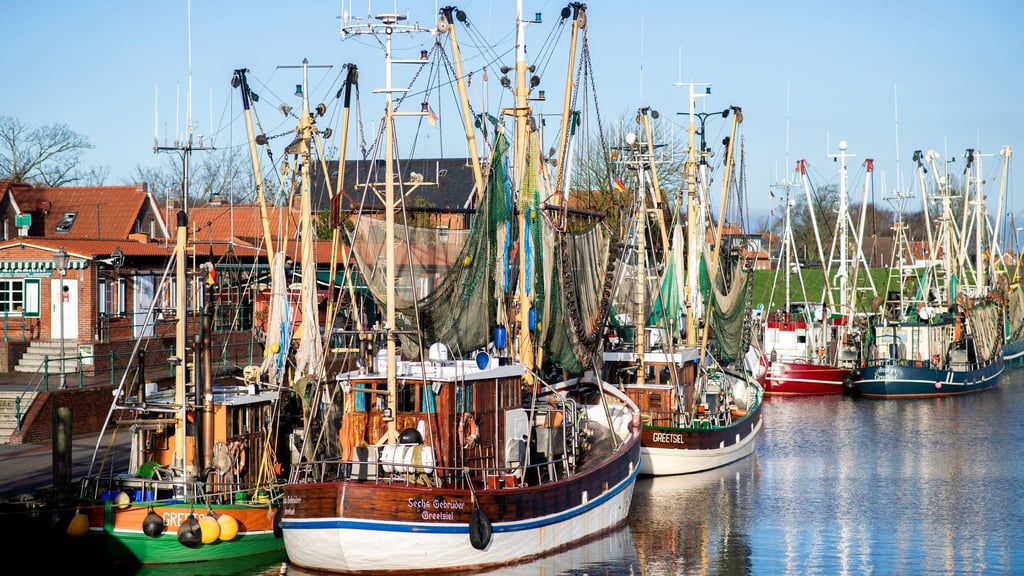 Solche traditionellen Krabbenkutter könnten bald in den Nordseehäfen weniger werden: In Ostfriesland arbeiten Wissenschaftler an einem „Zukunftskutter“. (Archivbild)
