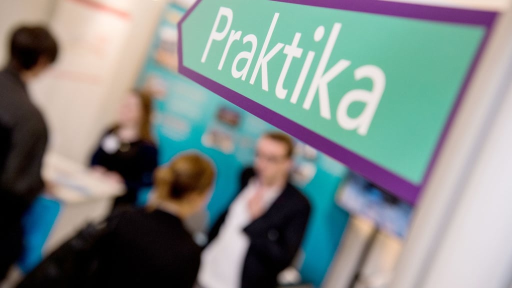 Für ein freiwilliges Praktikum in den Ferien können Jugendliche in Sachsen-Anhalt 120 Euro erhalten. (Symbolbild)