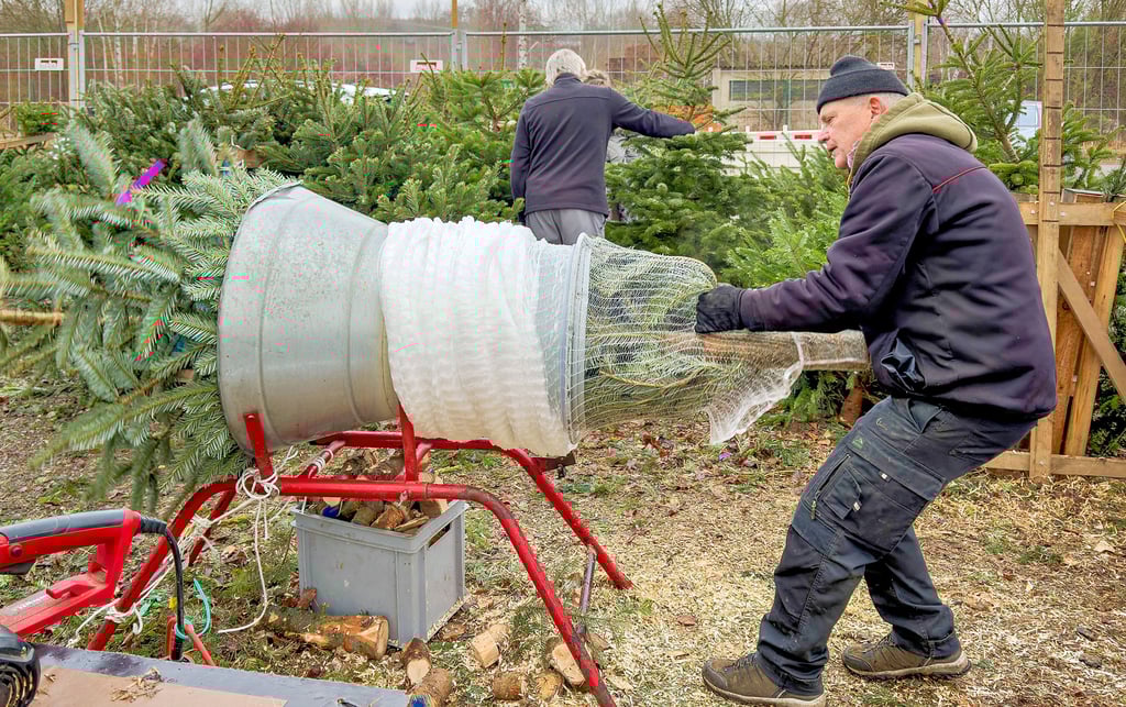 Andreas Kehr  netzt einen  Weihnachtsbaum für den Transport ein und zieht ihn dabei durch einen Trichter.