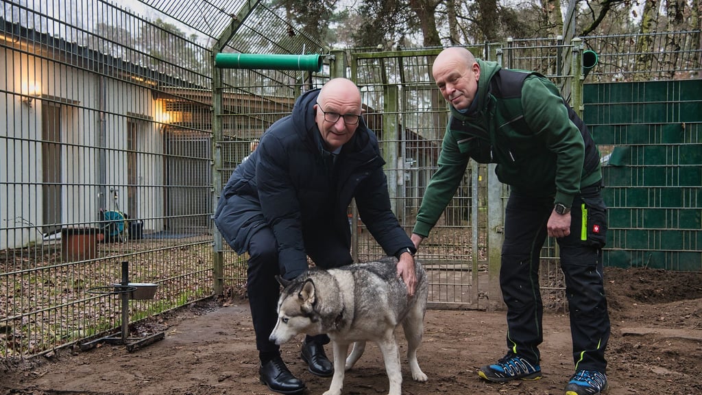 Brandenburgs Ministerpräsident Dietmar Woidke (l) besucht vor dem Weihnachtsfest das Tierheim Potsdam.
