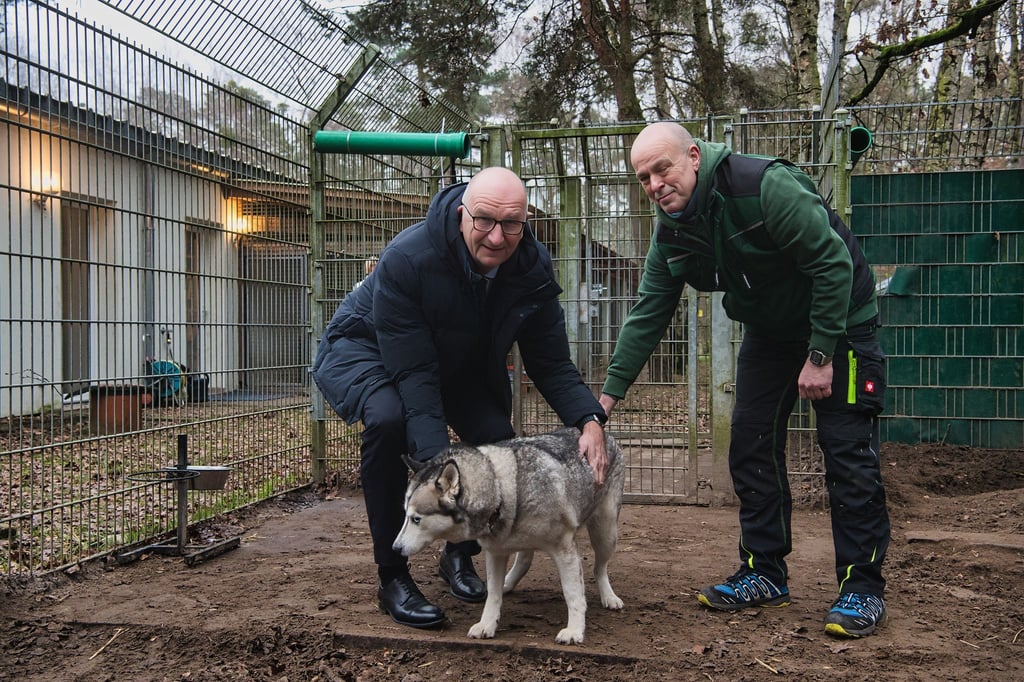 Brandenburgs Ministerpräsident Dietmar Woidke (l) besucht vor dem Weihnachtsfest das Tierheim Potsdam.