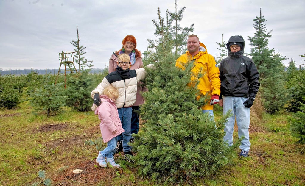 Weihnachtsbaumkauf als Attraktion: Familie Lorenz aus Roßlau hat sich für eine Küstentanne entschieden.