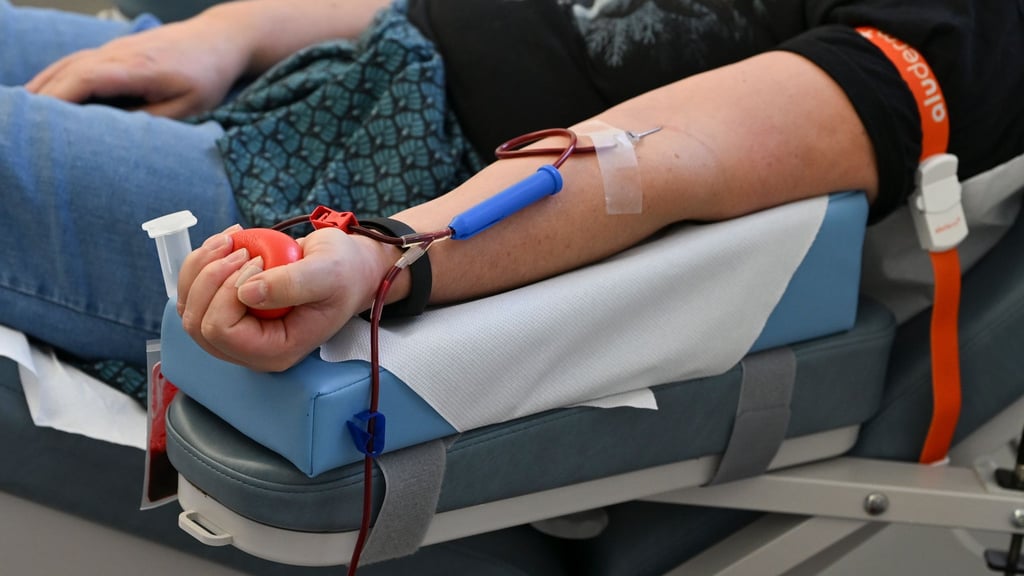 Aus einer Blutspende können Blutpräparate für gleich mehrere Patientinnen und Patienten hergestellt werden. (Archivbild)