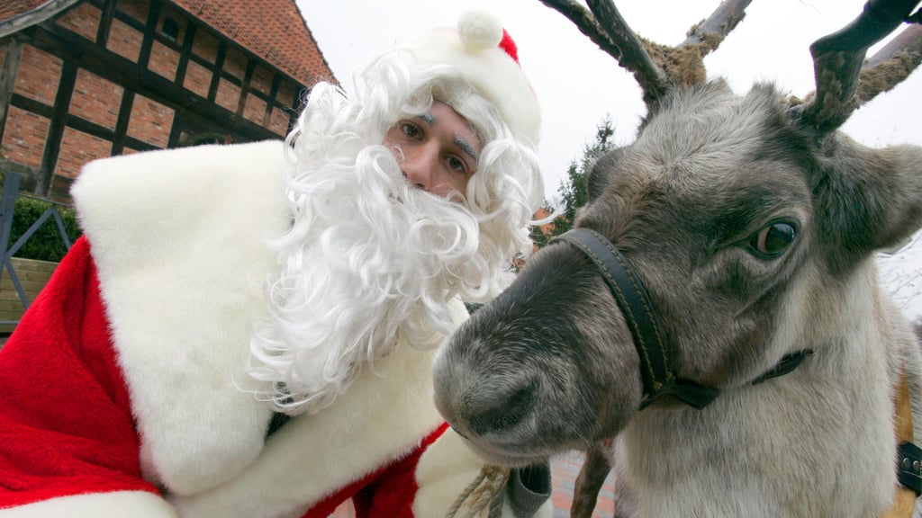 Weihnachten bietet auch in Magdeburg ein abwechslungsreiches Programm dank einer Vielzahl an Einrichtungen, die auch an den Feiertagen geöffnet sind.