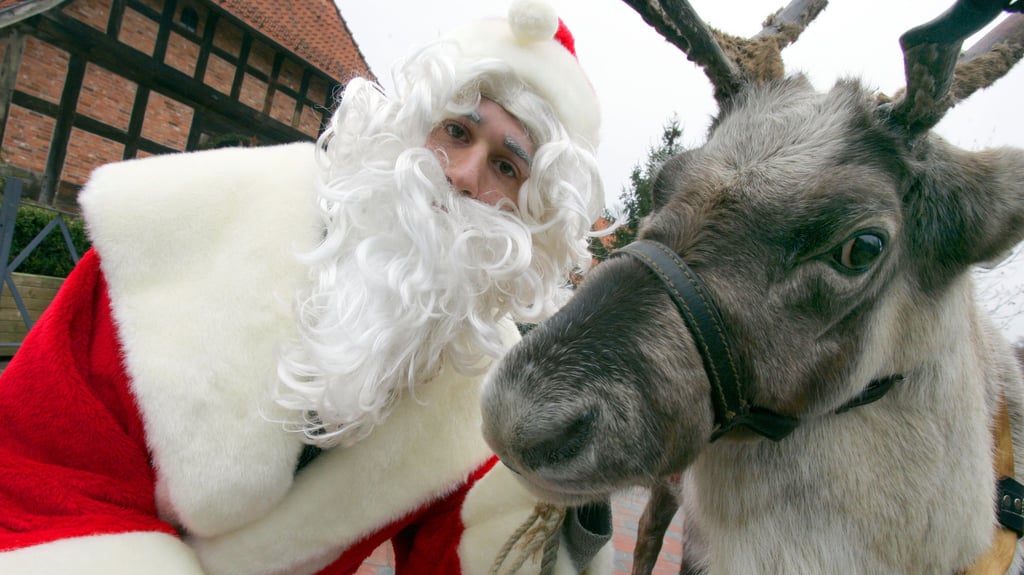 Weihnachten bietet auch in Magdeburg ein abwechslungsreiches Programm dank einer Vielzahl an Einrichtungen.