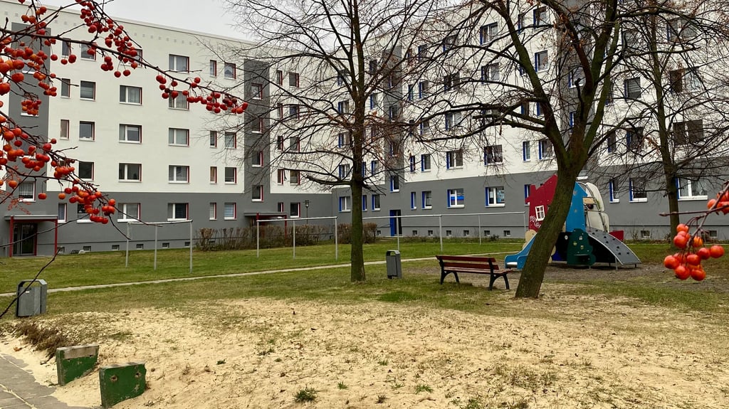 Dieser Innenhof zwischen Wohnblöcken im Wenrigeröder Stadtfeld wird 2026 zu einem an den Klimawandel angepassten Park umgestaltet.