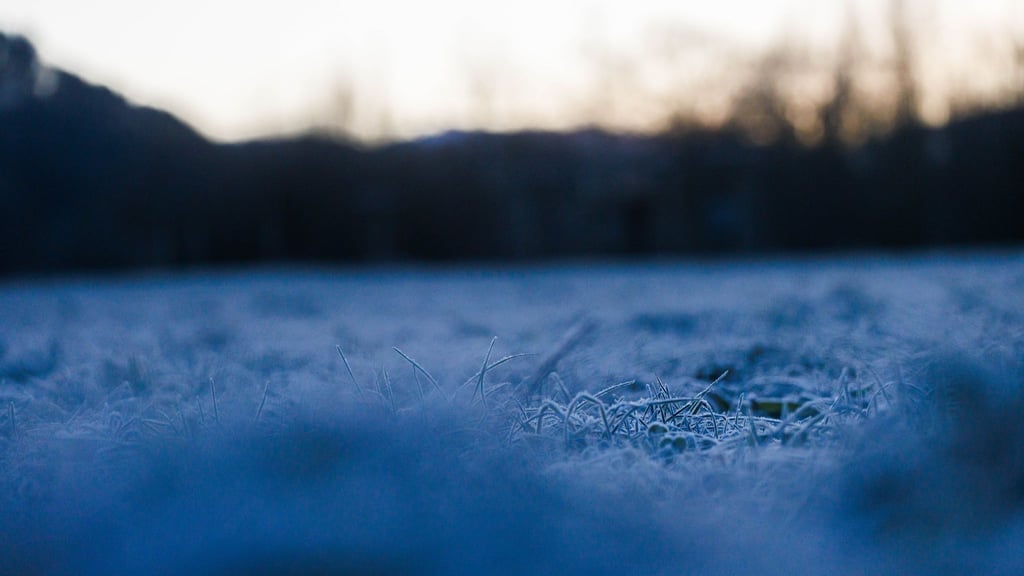 Der historische Krimi spielt in Freiburg. (Archivbild)