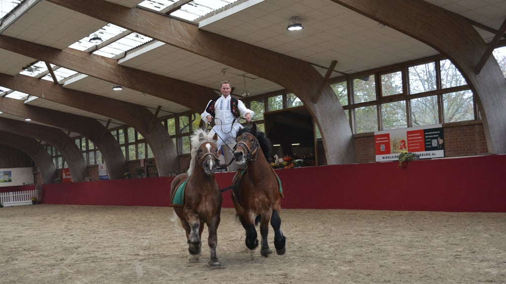 Seit 30 Jahren wird in Krumke bei Osterburg (Kreis Stendal) ambitioniert geritten. Nun braucht die Halle ein neues Dach.