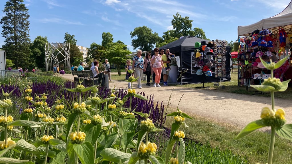 Das Rolandfest 2026 in Burg soll vom 13. und 14. Juni auf dem Gelände vom Goethepark auf die Beine gestellt werden.