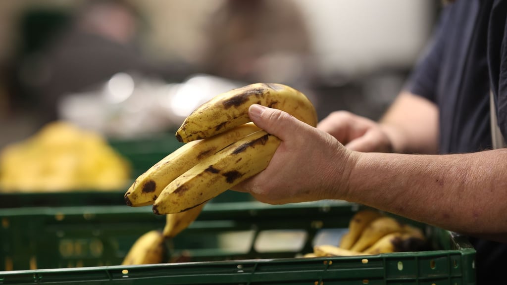 Aus der Jahresbilanz geht hervor, dass landesweit rund 900.000 Abholungen an den Ausgabestellen in Sachsen registriert worden sind.