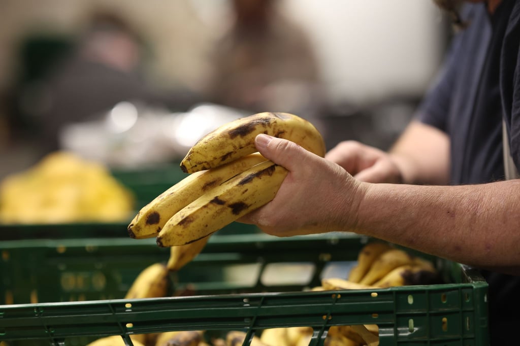 Aus der Jahresbilanz geht hervor, dass landesweit rund 900.000 Abholungen an den Ausgabestellen in Sachsen registriert worden sind.