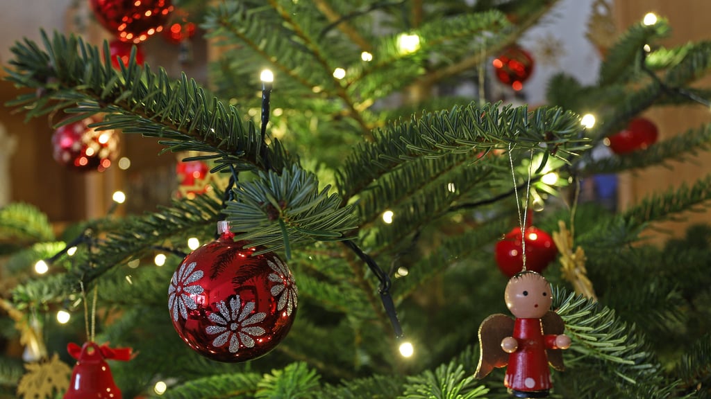 Manche kaufen ihren Baum auf den letzten Drücker und bekommen dann leider auch noch Ärger,