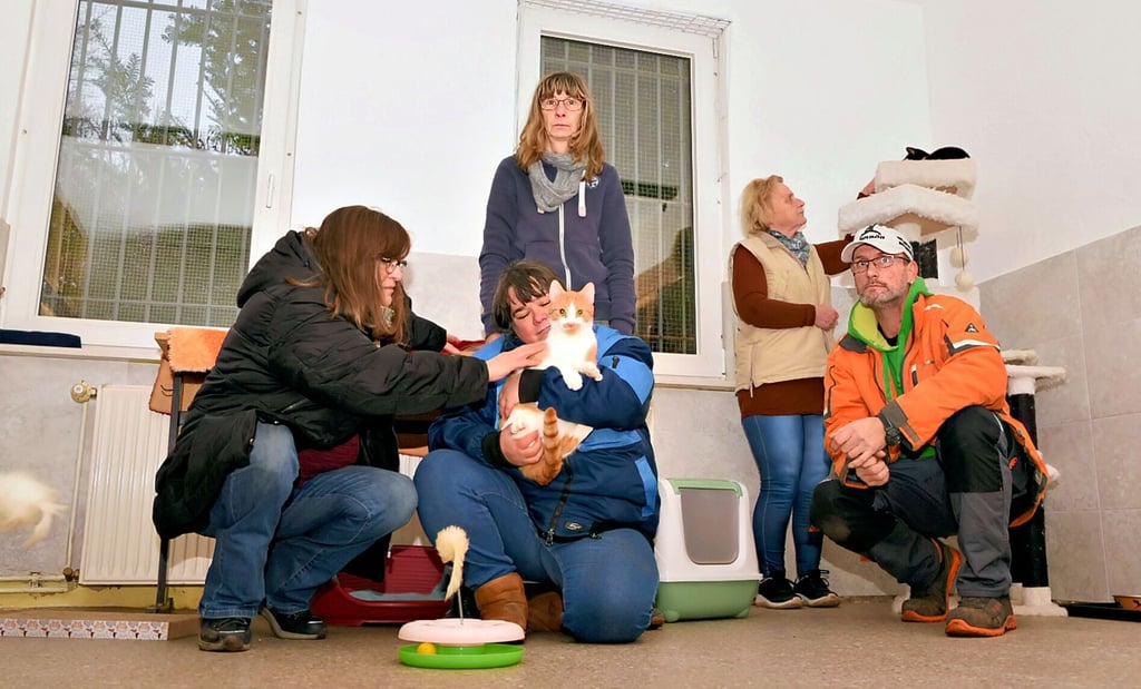 Wie geht es weiter mit dem Tierheim in Köthen? Die Mitarbeiter stehen vor einer unsicheren Zukunft.