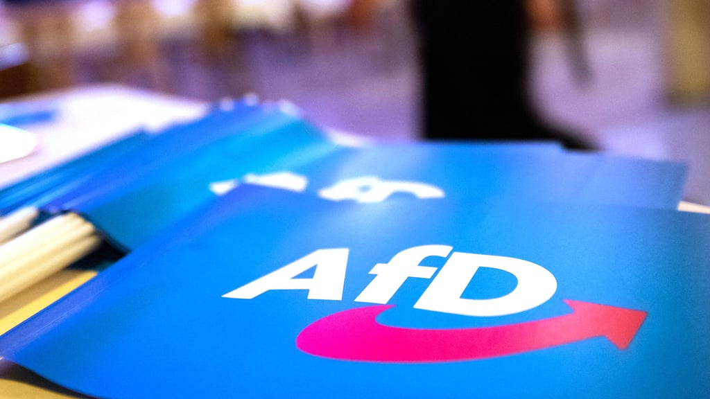 In der AfD Sachsen-Anhalt rumort es mächtig. 