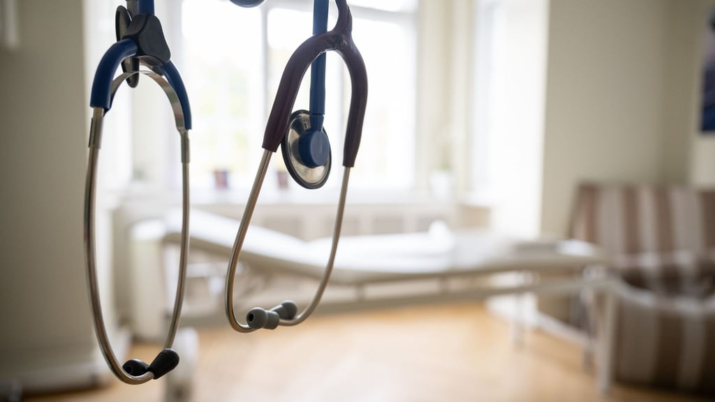 Der ärztliche Bereitschaftsdienst bietet unter der 116 117 rund um die Uhr telefonische Beratung (Symbolbild).