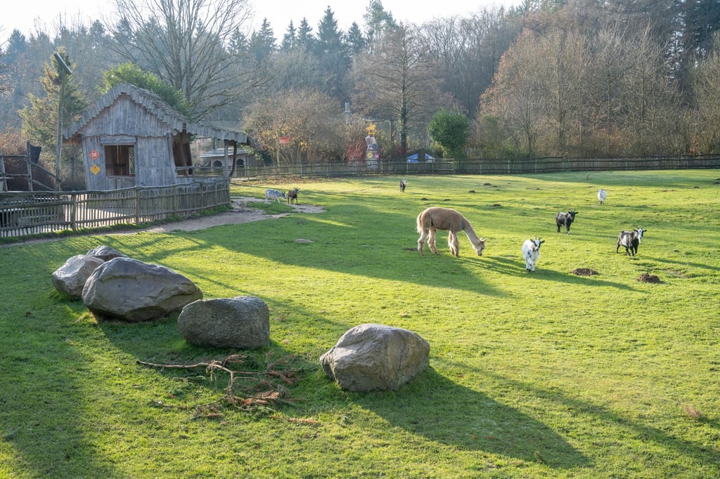 Nach Auffassung des Landgerichts Stralsund hat der Vogelpark Marlow seine Pflichten erfüllt.