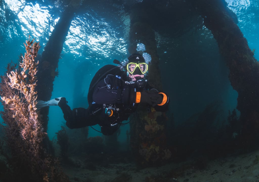 Tauchen statt Tanne: Hallenser Matthias Klapperstück hat in Australien eine zweite Heimat gefunden. Das Weihnachtsfest wird der Bio-Informatiker „Down Under“ verbringen.  