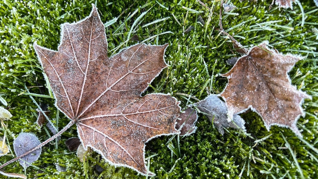 An den Weihnachtstagen sinkt die Temperatur nach DWD-Angaben auf bis zu minus drei Grad, in der Nacht sogar auf bis zu minus zehn Grad. (Archivbild)