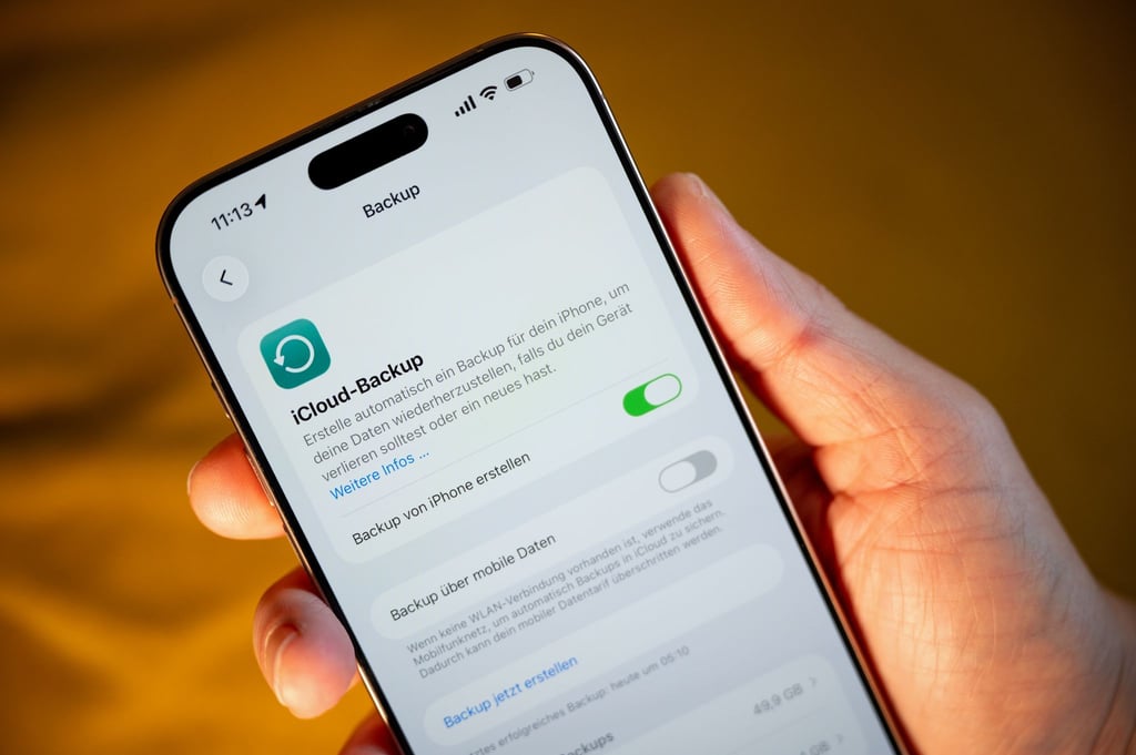 Auf der sicheren Seite: Auf diesem iPhone ist das iCloud-Backup aktiviert.
