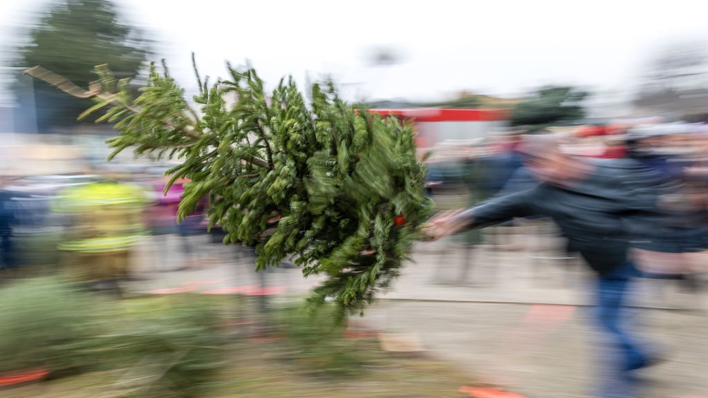 Vor knapp einem Jahr lag der weiteste Wurf bei 8,80 Meter. (Archivbild)