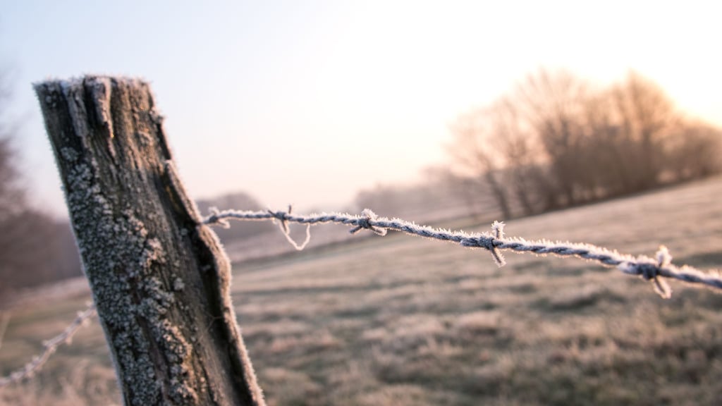Die Weihnachtstage bringen in Norddeutschland viel Frost mit sich, es bleibt aber größtenteils freundlich. (Symbolbild)