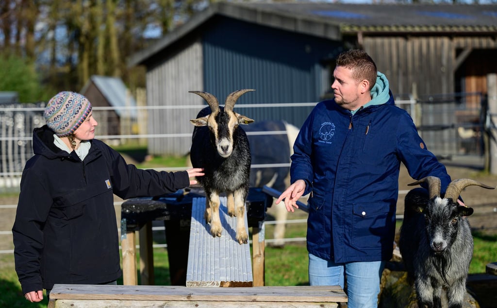 Ergotherapeutin Nina Steinberg und Sebastian Cramer führen eine kleine Übung mit Ziegen durch. (Archivbild)