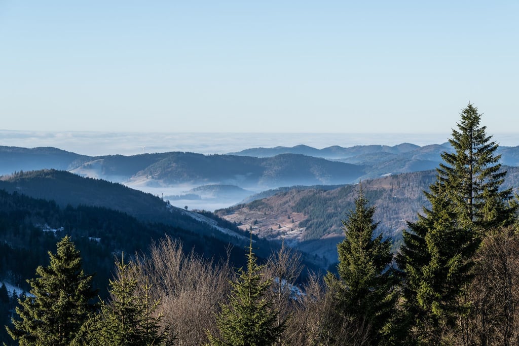 Zum Start in das letzte Wochenende des Jahres kommt etwas mildere Luft nach Deutschland