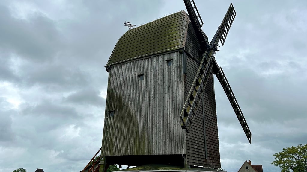 Über die Bockwindmühle in Langeneichstädt gibt es jetzt ein Kinderbuch.