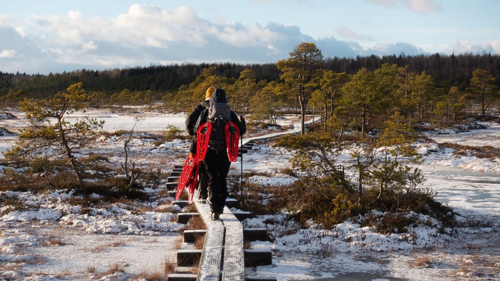 Die Holzplanken führen sicher durchs Moor Kakerdaja - die Schneeschuhe sind geschultert.