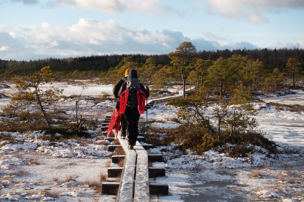 Die Holzplanken führen sicher durchs Moor Kakerdaja - die Schneeschuhe sind geschultert.