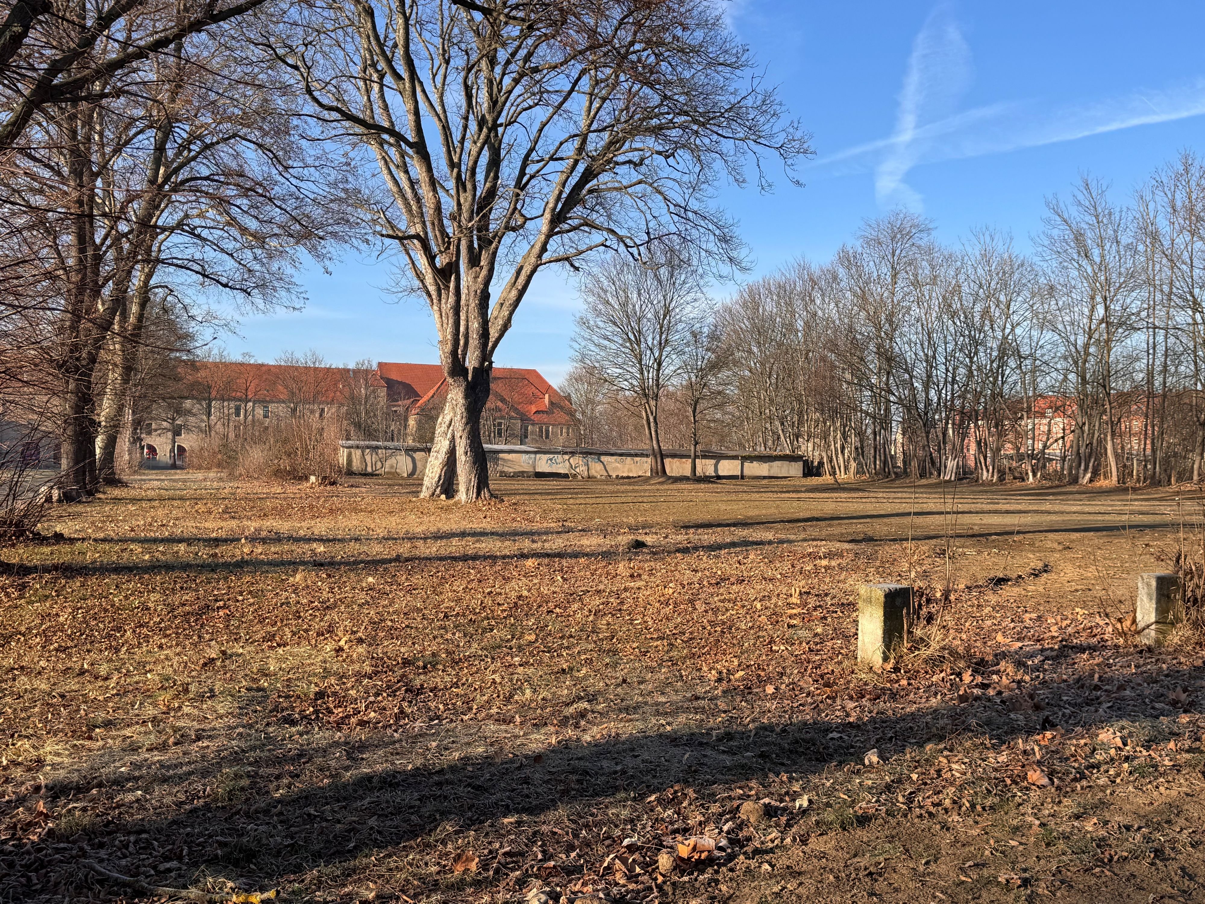 Stadtgeschichte im Harz: Ebereschenhof in Halberstadt wandelt erneut sein Gesicht