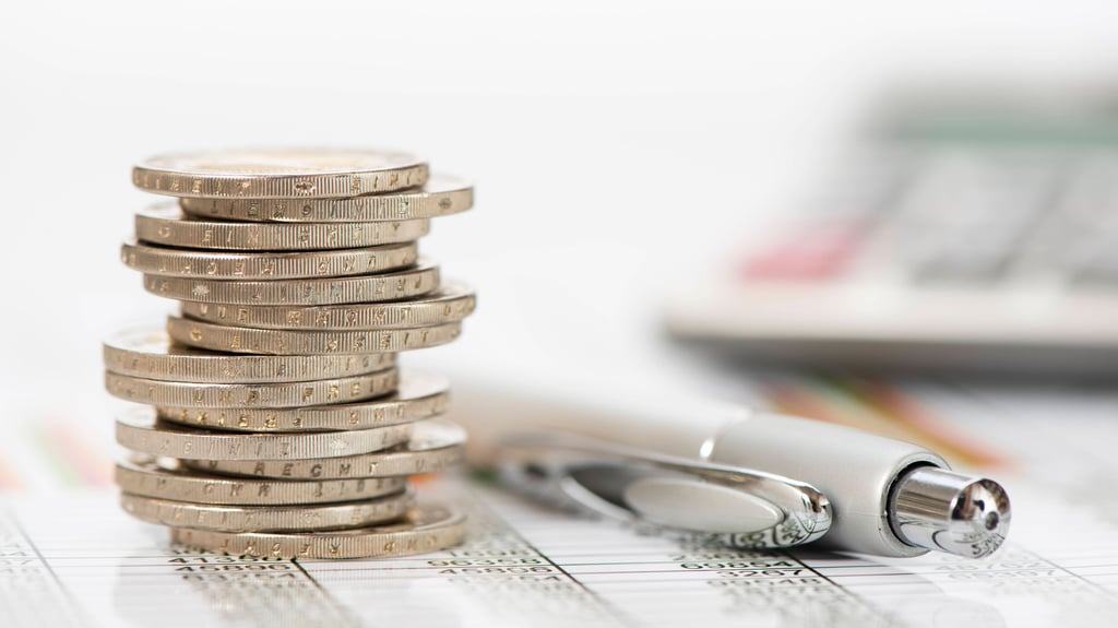 Der Kreistag im Saalekreis kommt Mitte Januar zusammen, um über Projekte zu beraten, die vom Sondervermögen für Infrastruktur des Bundes profitieren sollen.