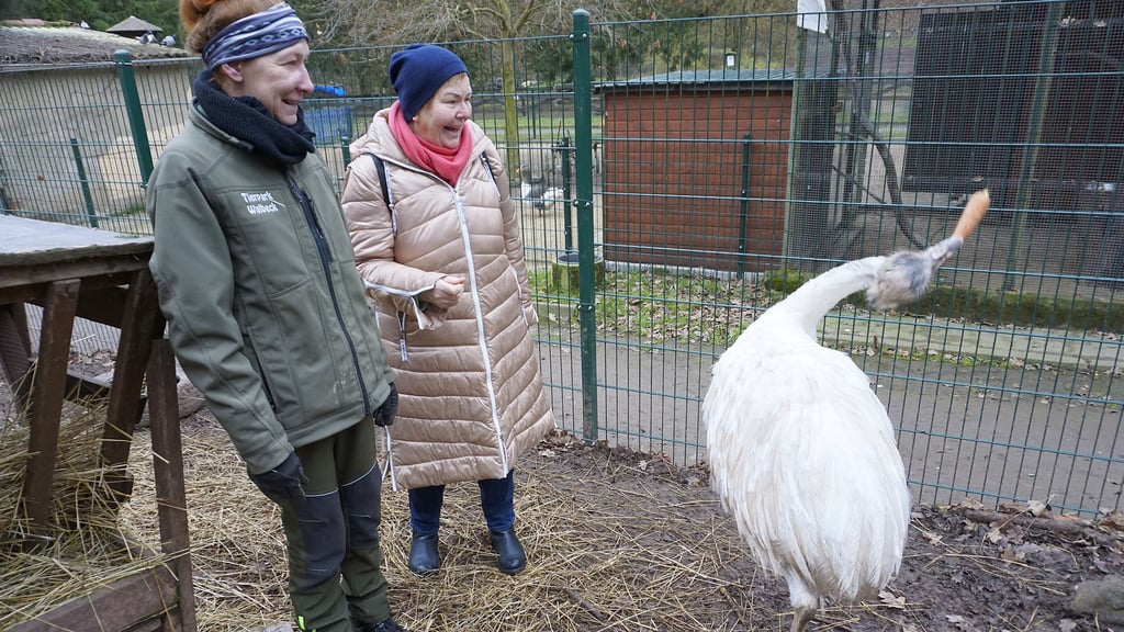 Nancy Hoffmann und Marlies Stock haben Spaß beim Füttern der Nandus.