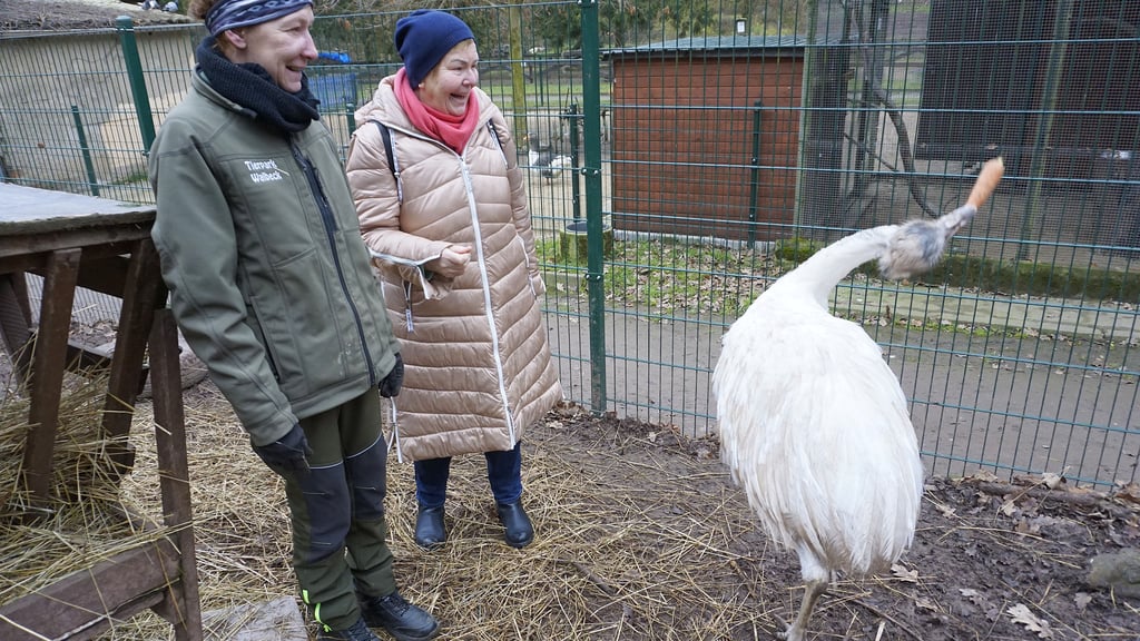 Nancy Hoffmann und Marlies Stock haben Spaß beim Füttern der Nandus.
