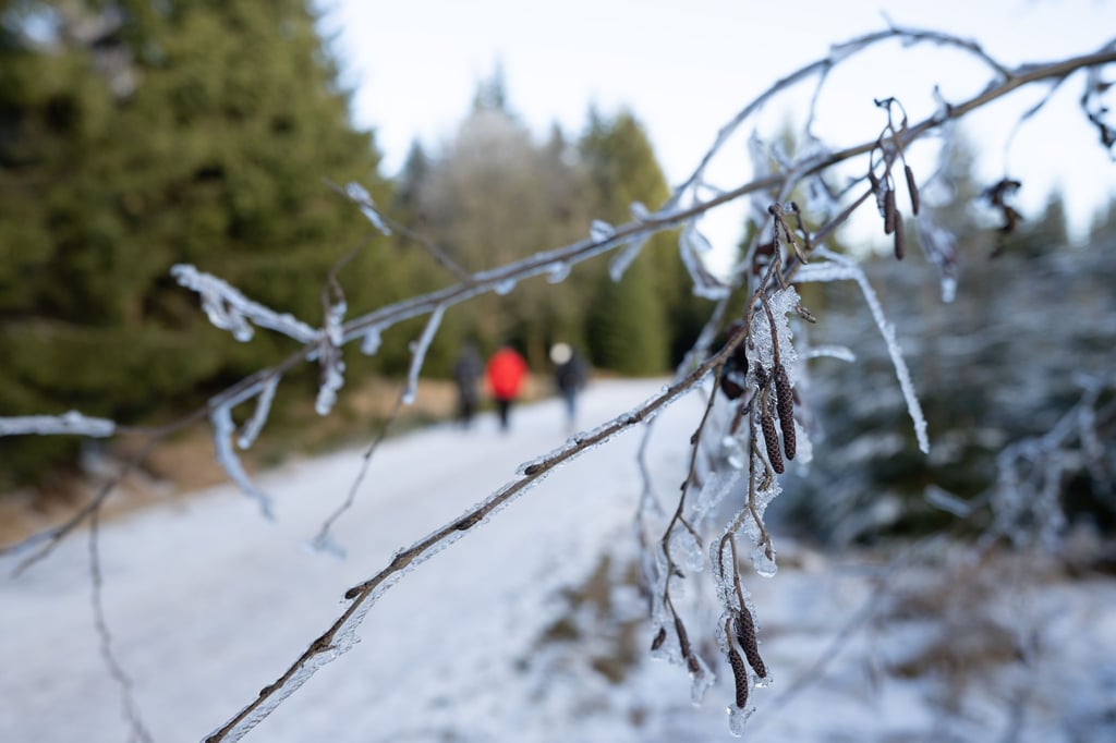 In Sachsen bleibt das Wetter winterlich. (Symbolbild)