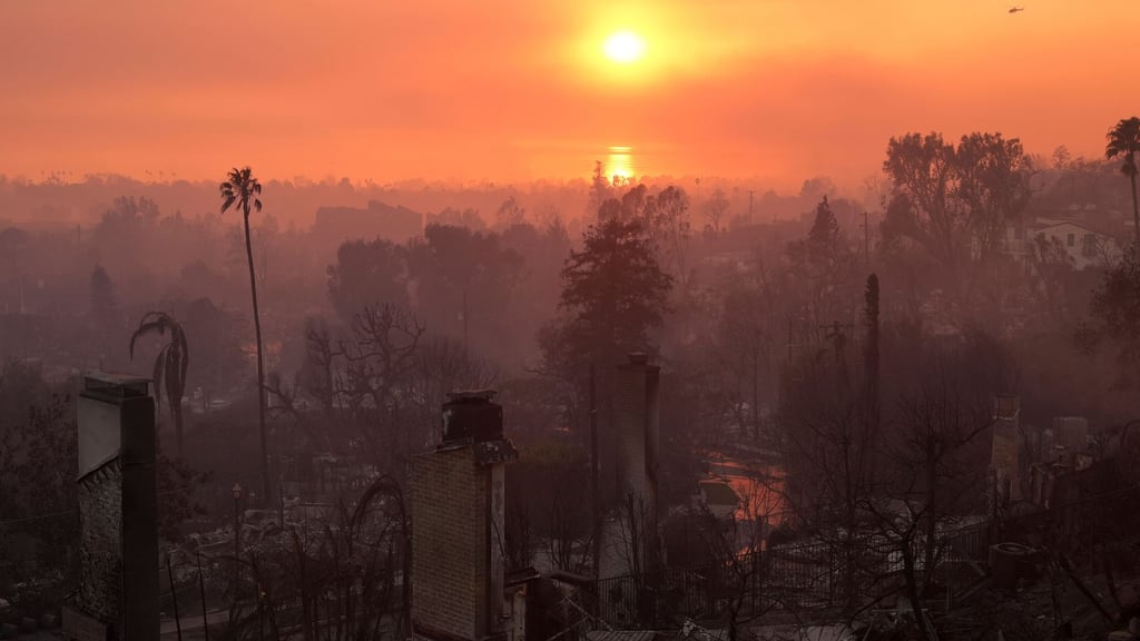 Die Verwüstung durch das Palisades-Feuer in Los Angeles. (Archivbild)
