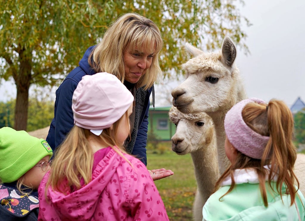Diana Zickner erklärte  den Kindern  beim Tag der offenen Tür, wie man mit Alpakas umgeht. 
