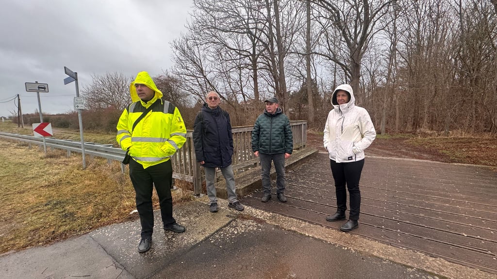 Stefan Siesing, Abteilungsleiter Verkehr der HVG, Ulrich Kasten und Hagen Becker vom Verkehrsbeirat Halberstadt sowie HVG-Chefin Claudia Stein (von links) beim Rundgang durch das Wohngebiet Über der Schlagmühle. Der Weg führte bis zur Mahndorfer  Straße.