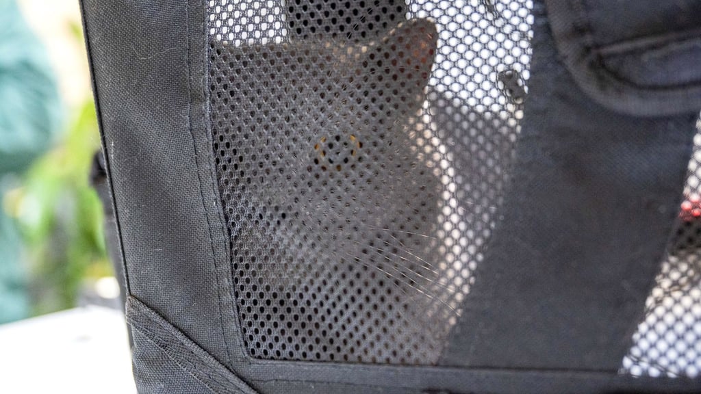 Das Tierheim Berlin hat zahlreiche Haustiere aufgenommen.