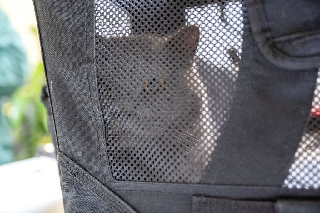 Das Tierheim Berlin hat zahlreiche Haustiere aufgenommen.