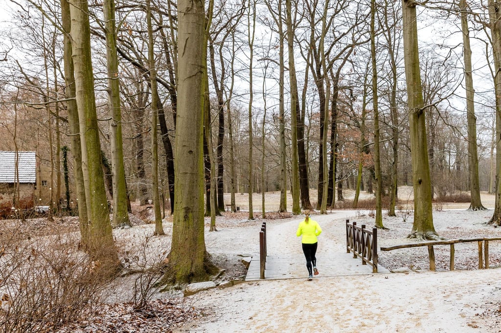 Zum Jahreswechsel könnte es in Berlin und Brandenburg schneien. (Symbolbild)