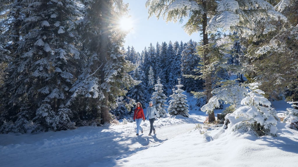 Zu Fuß durch verschneite Landschaften: Winterwandern wird von den Destinationen als Alternative zum Skifahren oder anderem Wintersport gerade gepusht.