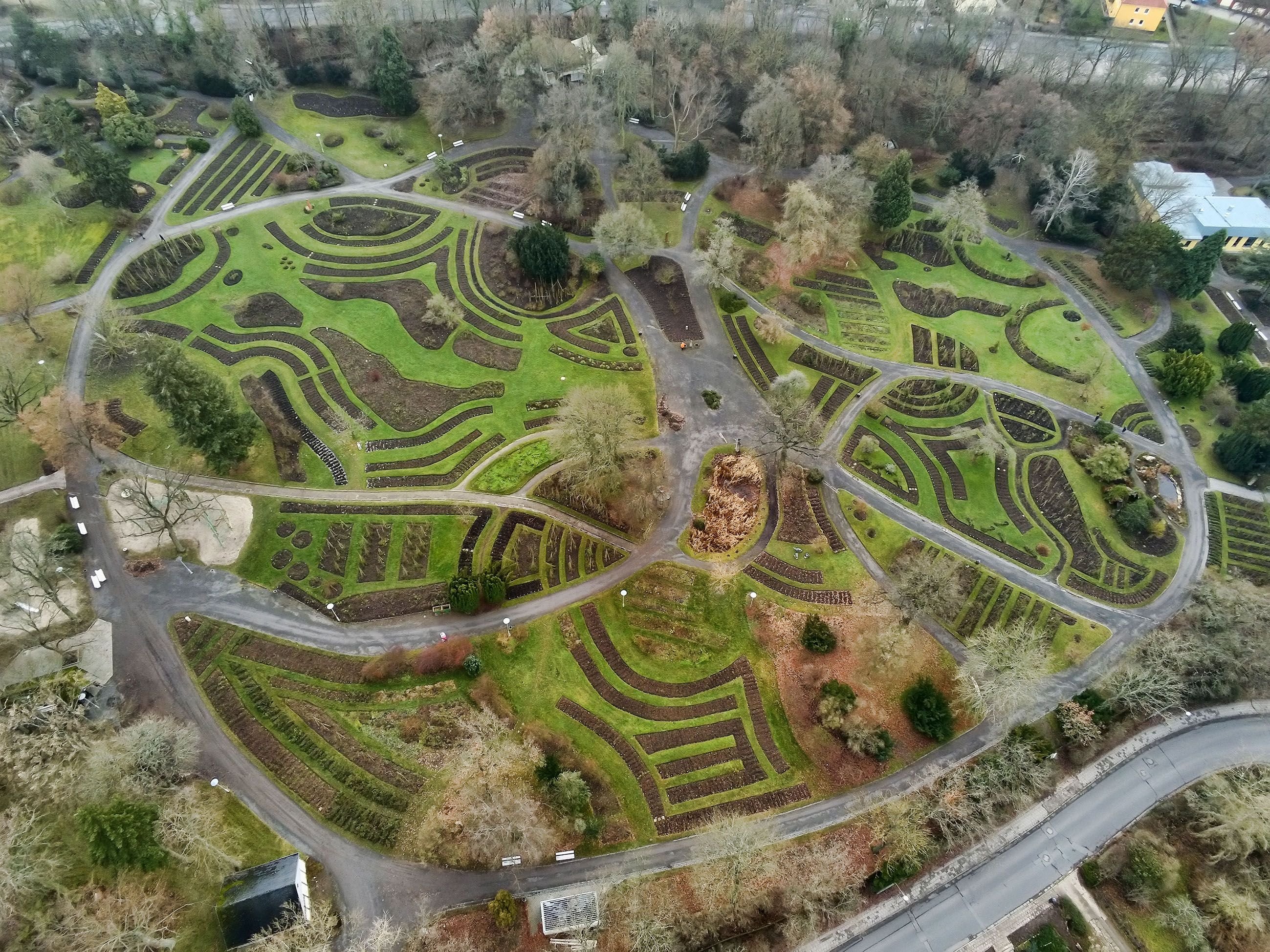 Europa-Rosarium Sangerhausen: Warum Sangerhäuser Rosenfreunde bereits Jubiläumsvorbereitungen planen
